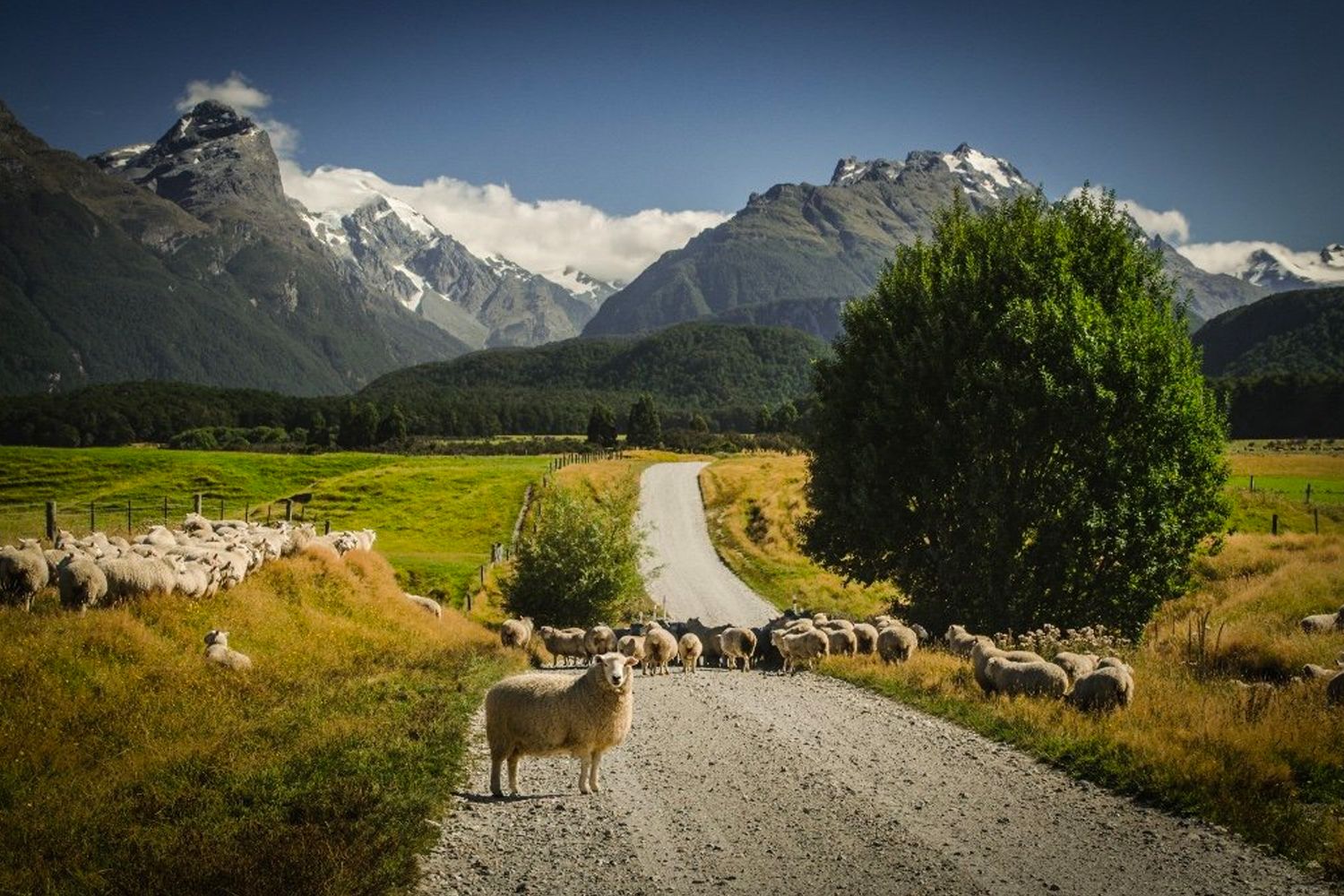 The Secret of Glenorchy - Altitude Tours