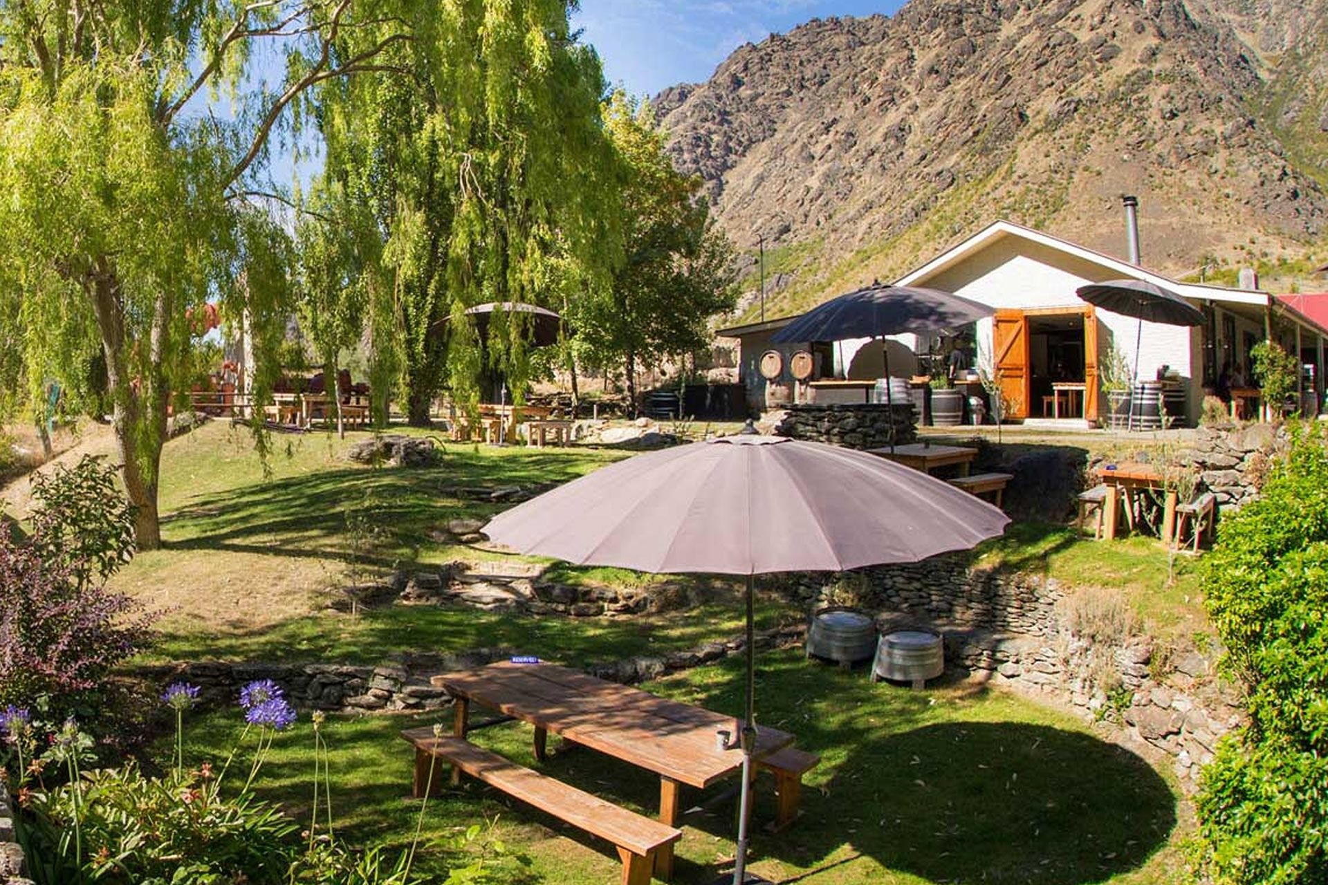 Wild Earth Wines Is An Award Winning Central Otago Vineyard